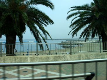 DSC02877.jpg