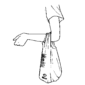 bag_008.gif