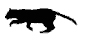 catooon.jpg